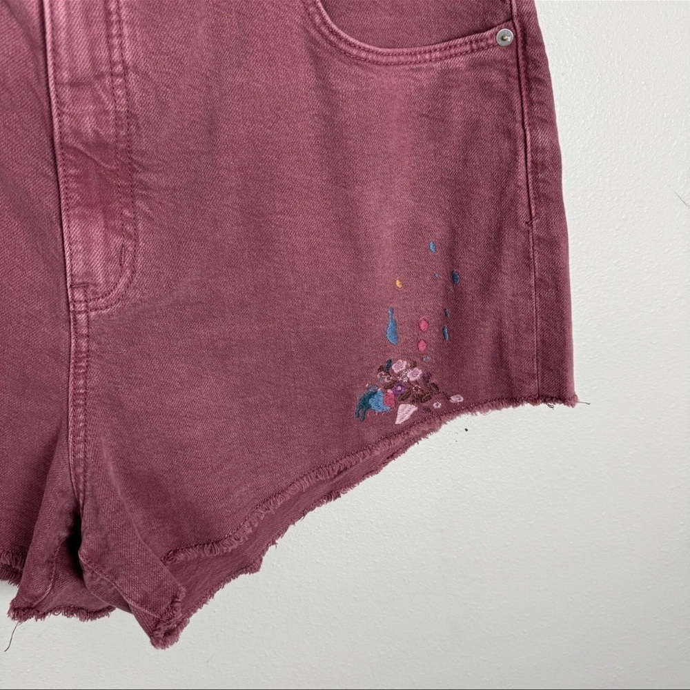 Anthropologie Pilcro Denim Shorts - Picture 4 of 5